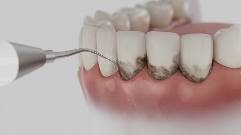 Reliable Dental contractor in Oakwood Hills, IL by Dentist Open Now
